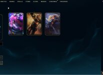 2 riot skins.jpeg