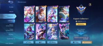 2. Collection.jpg