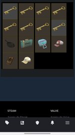 Screenshot_20261014_110528_Steam.jpg