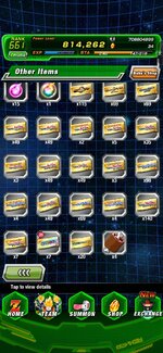 Screenshot_20261015_075233_Dokkan.jpg