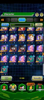 Screenshot_20261017_104321_Dokkan.jpg