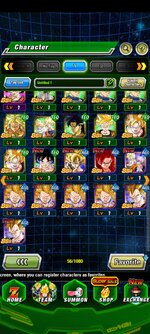 Screenshot_20261017_205136_Dokkan.jpg