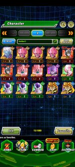 Screenshot_20261017_205140_Dokkan.jpg