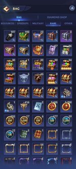 Bag Rare I.jpg