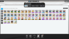 Inventory 1.png