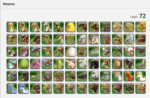 Screenshot_6.png