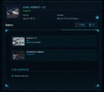 Hornet 001 (1).jpg
