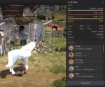 Horse.JPG