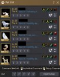 pet.JPG