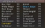Job Levels.JPG
