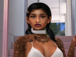 Snapshot_011.png