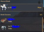 musa3.JPG