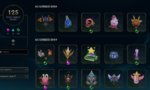 wards.JPG