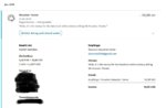 ebaySAOmdNAscamPP2.jpg