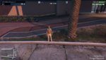 GTA5(2).jpg
