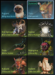 pets.png