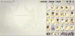 Screenshot_20200802-232904_Exos Heroes.jpg
