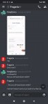 Screenshot_2020-08-10-09-24-40-166_com.discord.jpg
