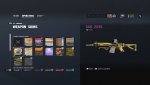 Tom Clancy's Rainbow Six® Siege2020-8-30-14-36-21.jpg