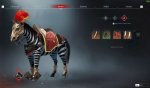 zebra.jpeg