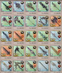 s4.png