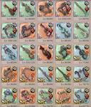 s5.png