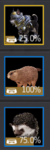Pets 2.png