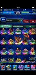 Screenshot_2020-11-22-18-34-18-391_com.square_enix.android_googleplay.FFBEWW.jpg