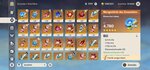 Screenshot_20201123-201028_Genshin Impact.jpg