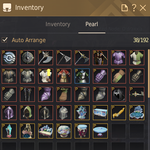 GuardianPearlItems.png