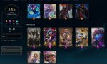 skins.JPG