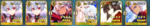 Screenshot_26.png