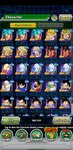 Screenshot_20201216_171508_com.bandainamcogames.dbzdokkanww.jpg