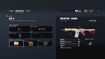 charms and skins.jpg