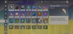 Screenshot_2021-01-20-14-17-04-872_com.miHoYo.GenshinImpact.jpg