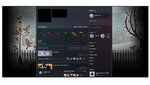 steam profile.jpg