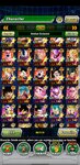 Screenshot_20210209_135431_com.bandainamcogames.dbzdokkanww.jpg
