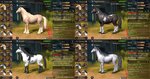 10_1_ Horse TOP.jpg