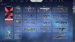 all skins.jpg
