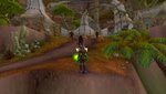 druid1.jpg