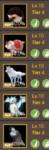Pet.PNG