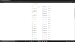 Desktop Screenshot 2021.03.14 - 15.22.24.27.png