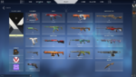 collection.png
