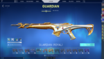 Guardian Skin.PNG