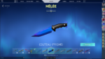 Knife Skin.PNG