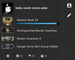soko cs go profile.png