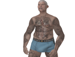 Rover2.png