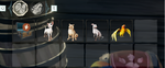 13.png