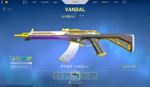 Val Account 3.PNG