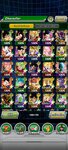 Screenshot_20210523-123256_Dokkan.jpg